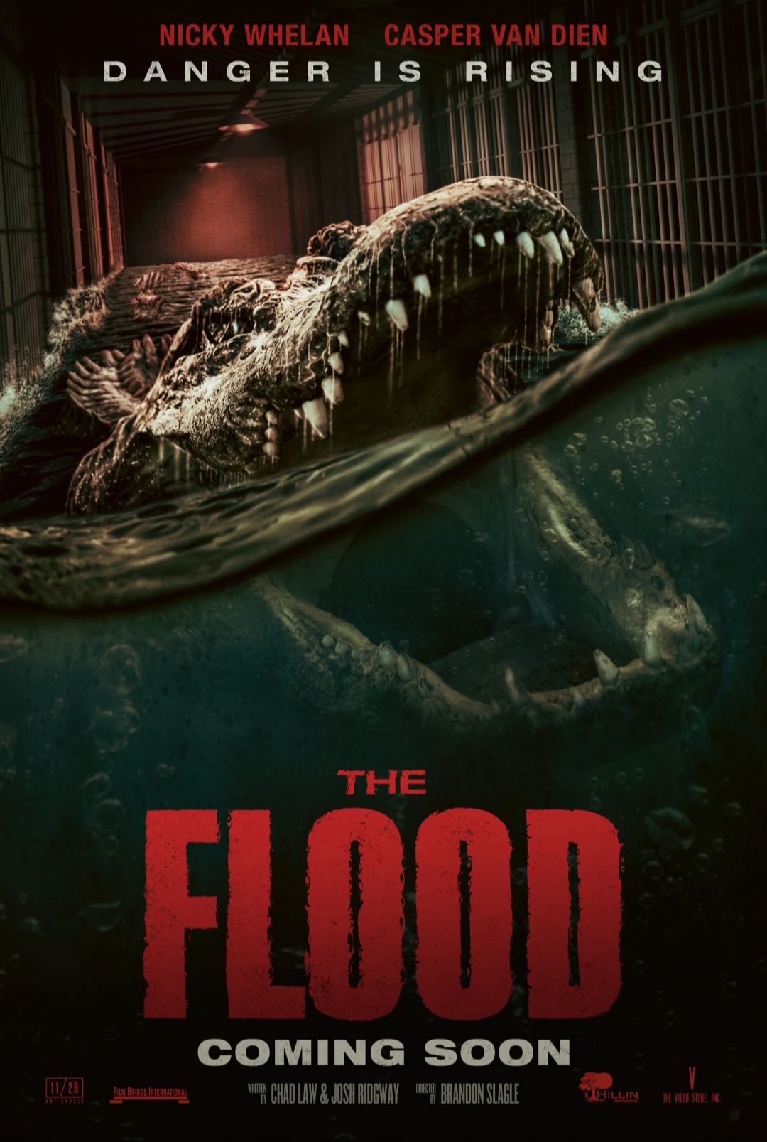 THE FLOOD -  (2023)